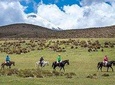Horseback Riding in Quito - Cotopaxi National Park