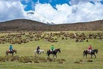 Horseback Riding in Quito - Cotopaxi National Park