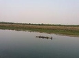 Jungle Walking Tour in Chitwan ( canoe 2hrs.+ jungle walk 2 days), 2days Package
