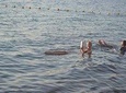 Dead Sea Full Day Tour including Lunch 