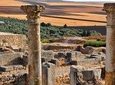 Day Trip From Fez To Meknes Volubilis