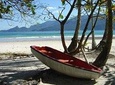 Ilha Grande - From Abrãao: Lopes Mendes Beach (Boat and trekking) 