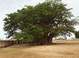 3 days 2 nights trip, Saint Louis, Delta sine saloum. Lake rose, Mnmm 2 people