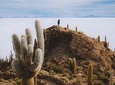 Uyuni Salt Flats day tour (Private or 4 Small Group)