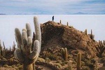 Uyuni Salt Flats day tour (Private or 4 Small Group)