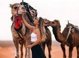 Marrakech sunset Camel Ride