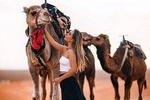 Marrakech sunset Camel Ride
