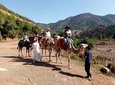 Atlas Mountains And Camel Ride Guided tour