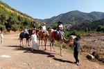 Atlas Mountains And Camel Ride Guided tour