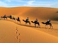 Dessert Tour from Marrakech 4D/3N