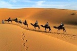 Dessert Tour from Marrakech 4D/3N