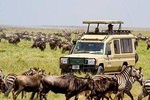 6 Days Budget Camping Safari