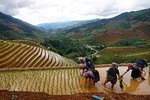 The best of North West Vietnam in 6 days 5 nights