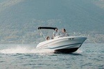 Private speed boat tour
