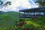Natural Breeze Of Cameron Highlands Day Trip From Kuala Lumpur