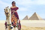 Private tour to pyramids ,Sphinx & Sound and light show in Giza