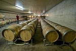 Etna Wine and Food Volcanic Weekend Immersion Tour (Private Experience)