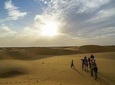 Camel safari in thar desert !!