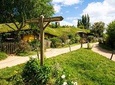 Small group tour from Auckland to Hobbiton Movie Set in a Luxury Van
