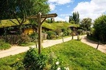 Small group tour from Auckland to Hobbiton Movie Set in a Luxury Van