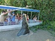 Jumping Crocodile Experience