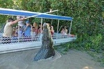 Jumping Crocodile Experience