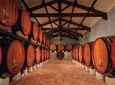 A la découverte de Chateauneuf du Pape