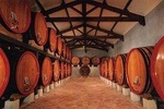 A la découverte de Chateauneuf du Pape