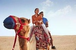 Evening Abu Dhabi Desert Safari & BBQ Dinner- Standard Tour 