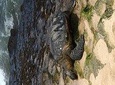 Circle Island tours - Private & Small Group Tours