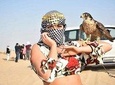 Dubai Desert Safari, BBQ, Camel Ride & Sandboarding