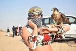 Dubai Desert Safari, BBQ, Camel Ride & Sandboarding