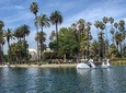 Swan Boat Rental in Echo Park