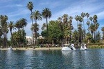 Swan Boat Rental in Echo Park