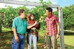 Private Penang Tropical Fruit Farm with Fruit Tasting