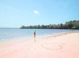 Exotic Lombok's Pink Beach Private Tour