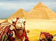 Cairo Giza in one day Tour including Dinner cruise Lunch camel ride