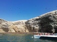 Ballestas Islands, Winery & Nazca Lines Private Tour from Lima