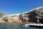 Ballestas Islands, Winery & Nazca Lines Private Tour from Lima