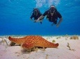 PADI Discover Scuba Diving or SSI Try Scuba In Costa Maya, Mahahual, México. 