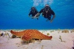 PADI Discover Scuba Diving or SSI Try Scuba In Costa Maya, Mahahual, México. 
