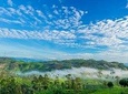 Lipton's Seat and Dambatenna Tea Factory,Trail Amidst Tea Plantation Day Tour 