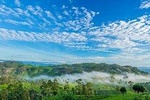 Lipton's Seat and Dambatenna Tea Factory,Trail Amidst Tea Plantation Day Tour 