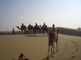 Over Night Desert Adventure camel safari
