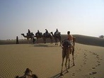 Over Night Desert Adventure camel safari