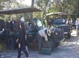 Safari Game Drive and Rhino Walk