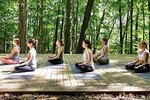 Etna Volcanic Yoga and Meditation Weekend (Private Experience)