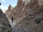 Hike or Mountain Bike Wilson Canyon, Nevada