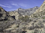 Hike White Rock to Willow Springs, Red Rock Canyon, Nevada