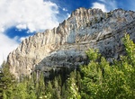 Explore Spring Mountains National Recreation Area (SMNRA), Nevada